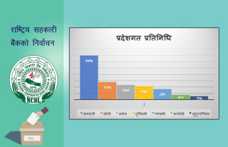 बागमती प्रदेशकाे मत निर्णायक, अन्य प्रदेशमा कति छन् प्रतिनिधि ?