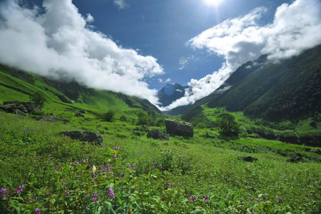 Himalijaibikata.jpg