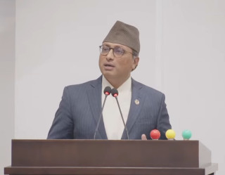 एघार तहमा रहेको मन्सार दर सात तहमा सीमित