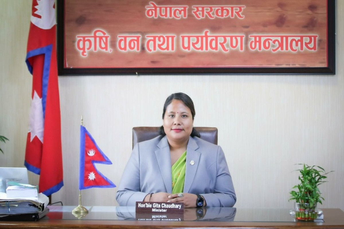 बाली लगाउनुपूर्व नै मूल्य  तोक्न मन्त्री चौधरीको निर्देशन