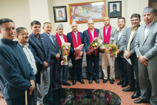निजी क्षेत्रलाई विद्युत् व्यापारमा प्रवेश गराउन इप्पानको जोड, नियमन आयोगलाई १२ बुँदे ध्यानाकर्षण